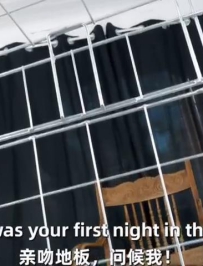 ̵���̻Ҹ��ﻯū���ռ�(8����)