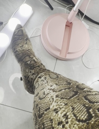 ��Ƥѥϴ�ԣ�1���ӣ�