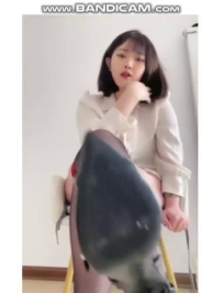 ���ǵ�һ�ӽ�-��ë�����(7�ְ���)