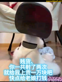 ��ķѹե�����������