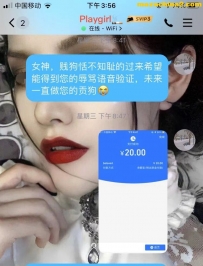 QQ3078764518��M���ṩ��ѹե��¼